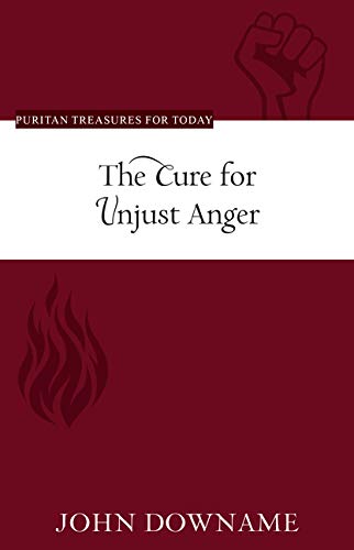 Book cover of The Cure for Unjust Anger